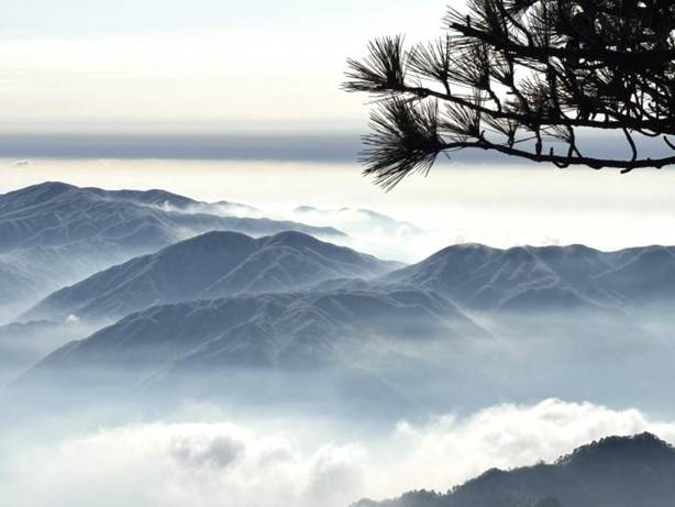 1-层峦松影绘江山(1)